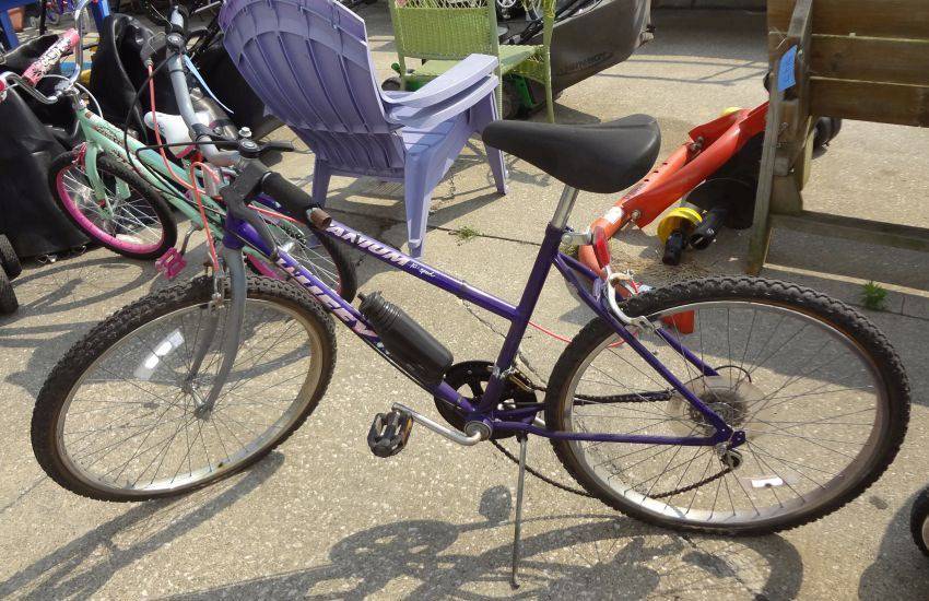 10 Speed Huffy Bike Titanium Frame Purple Tires are Flat Cracked from Sitting Chain Came Off Wheel Moving Fair Condition AS IS Brakes Need Repair Auction 1BID