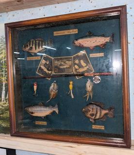 Vintage Fish Display 