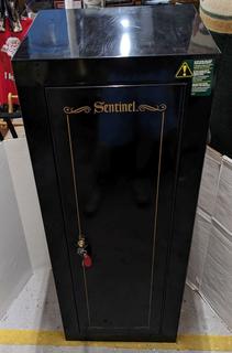 Sentinel store gun safe