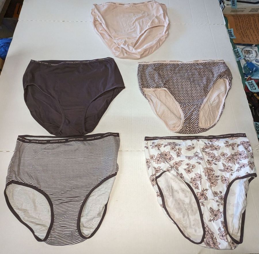 Five Pairs of Ladies Panties, Adrienne Vittadini Size L (7) 95% Cotton/5%  Spandex, Soft, New Out of Package Auction
