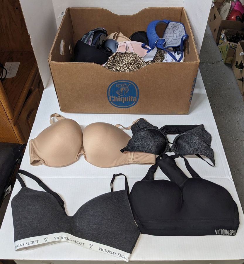 15) Victoria Secret Bras, Size Large, 32D, 36DD, 34D and Other Sizes, Very  Good Condition to New With Tags Auction