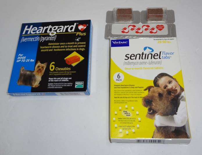expired heartgard plus