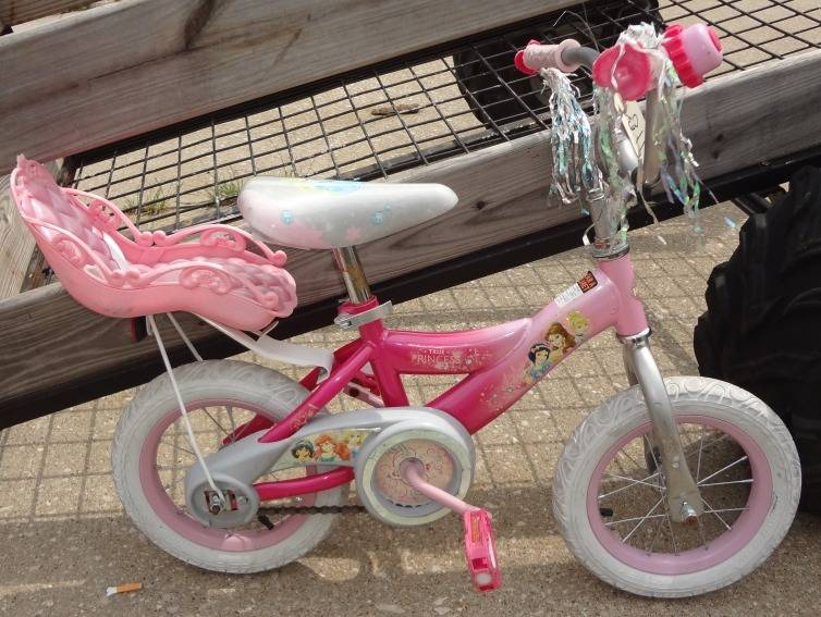 true princess bike