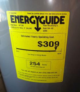 Richmond 40-Gallon Hot Water Heater, Model 6G40-36F1, Natural Gas, Sold For  Parts or Repair, Untested, As is, Good Condition Auction | 1BID